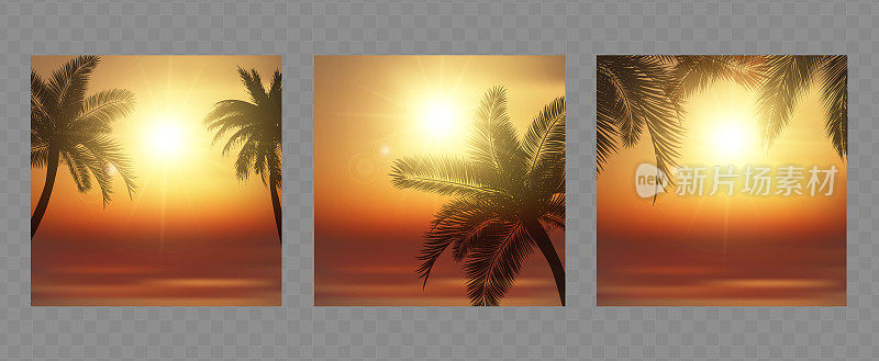 热带海滩日落矢量插图。夕阳映照下的棕榈树剪影