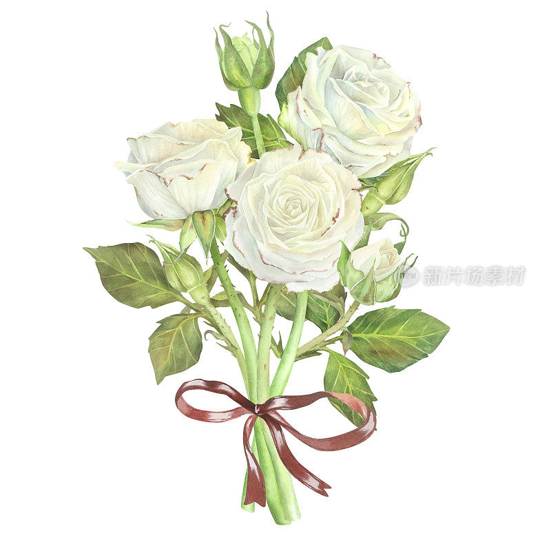 红蝴蝶结的白玫瑰花束。水彩插图。孤立在白色背景上。适用于贴纸、贺卡、彩妆、婚礼请柬、彩妆包装、蜡烛的设计