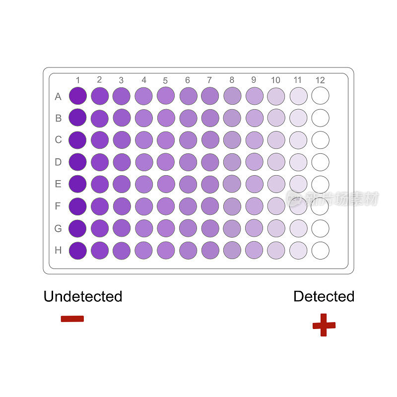 96孔板中目标分子的检测结果，用紫色梯度颜色表示检测到或未检测到