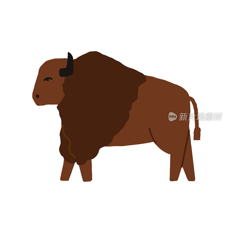 美洲野牛，南美洲野牛，欧洲野牛。在孤立的背景上手绘矢量插图。