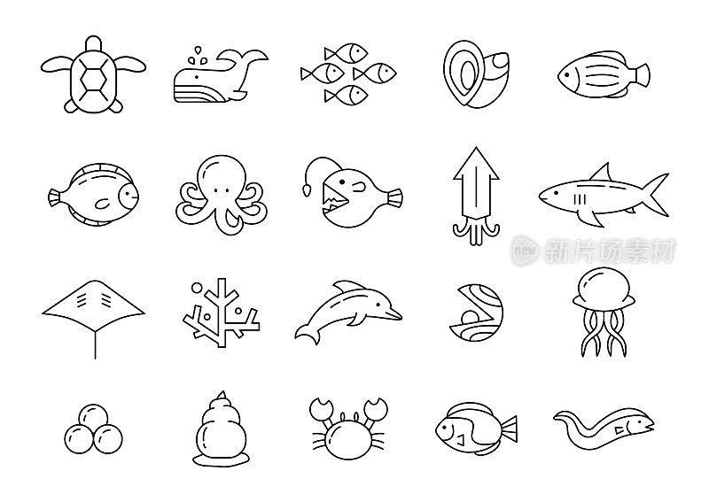 海水动物图标。海洋鱼类。海龟和鲸鱼。海鲜线符号。琵琶鱼和贝类。章鱼和贝壳。珊瑚龙虾。矢量插图最近的象形图集