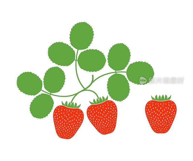 草莓的标志。白色背景上孤立的草莓