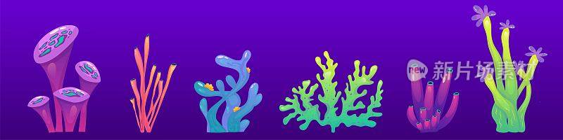 珊瑚礁水下设置的藻类。海藻是海洋植物。珊瑚形成海底动物群。卡通礁孤立。卡通矢量设计。