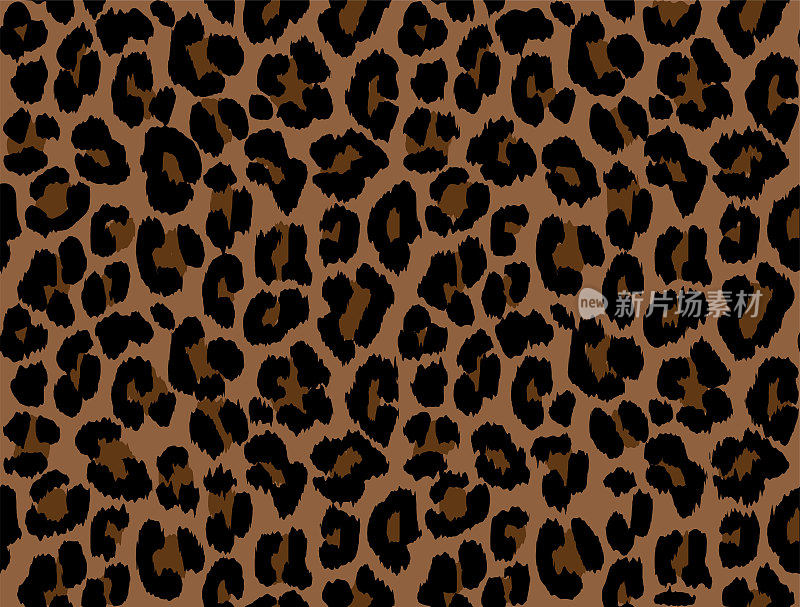 褐色豹子斑点，野猫皮毛图案。动物图案设计。