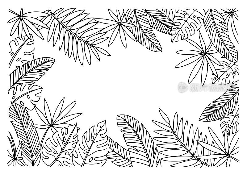 热带植物，线条艺术框架，叶框架