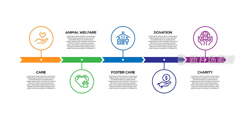 信息图表设计模板。关怀，动物福利，寄养，捐赠，慈善图标5个选择或步骤。