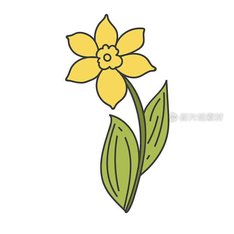 春天植物插图，图标涂鸦黄色的水仙花与绿叶。花自恋平，流苏