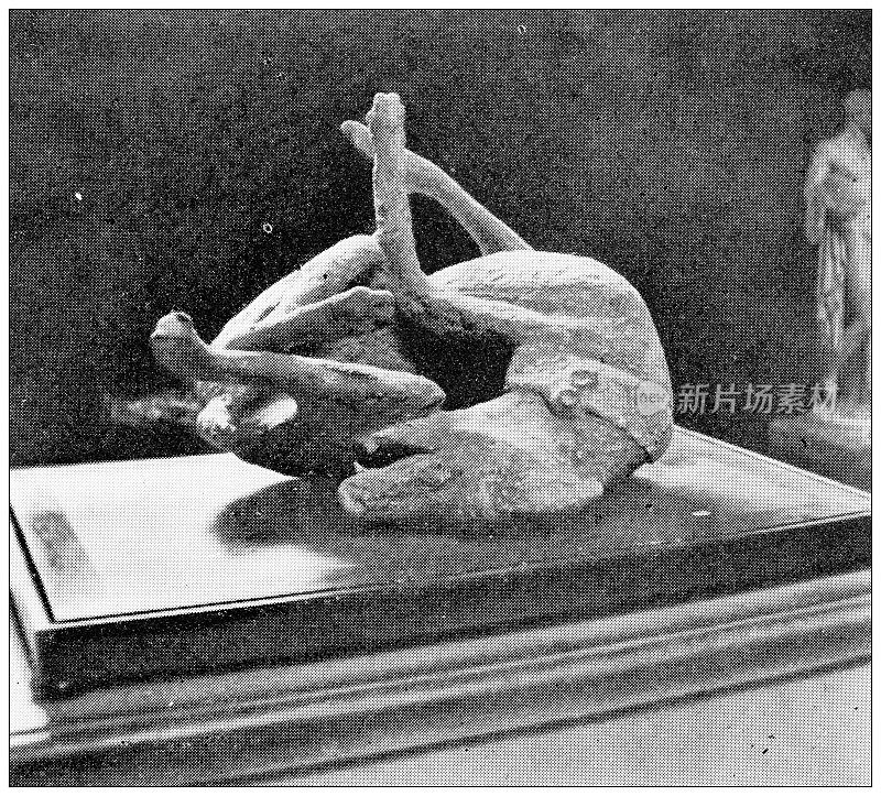 那不勒斯和坎帕尼亚的古董旅行照片:庞贝古城，死狗