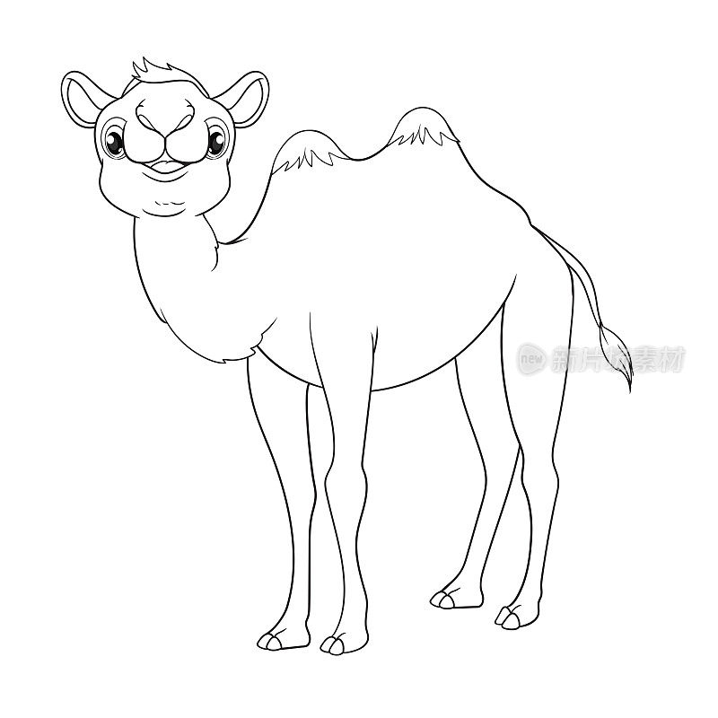 给孩子们涂色。可爱的骆驼卡通。黑色和白色