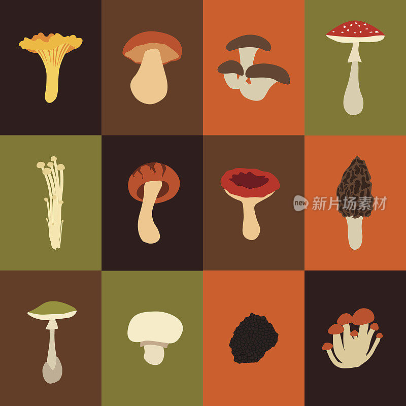 蘑菇组与平面设计