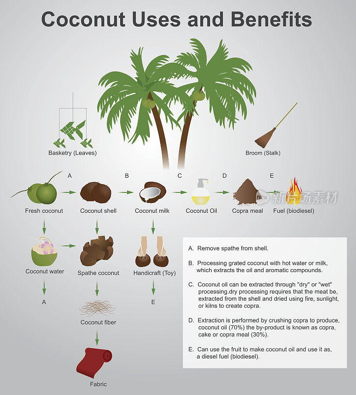 椰子的用途和好处
