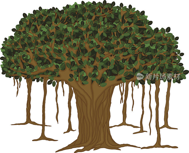 榕树Tree-Vector插图