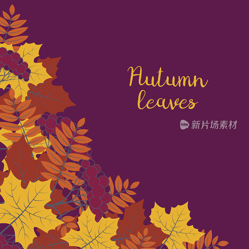 秋季花卉背景与彩色剪影的树叶在紫色的背景，设计元素为秋季横幅，海报，传单或贺卡