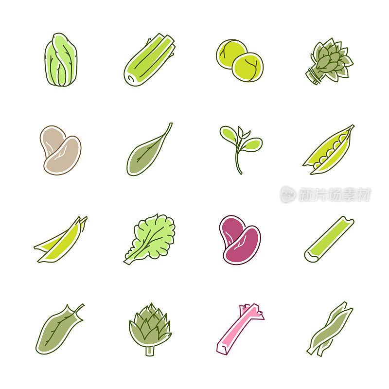蔬菜图标-生菜，菠菜，豌豆和豆类