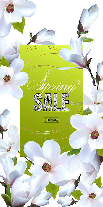 设计广告海报是一场以玉兰花为主题的春季促销活动。春季销售模板