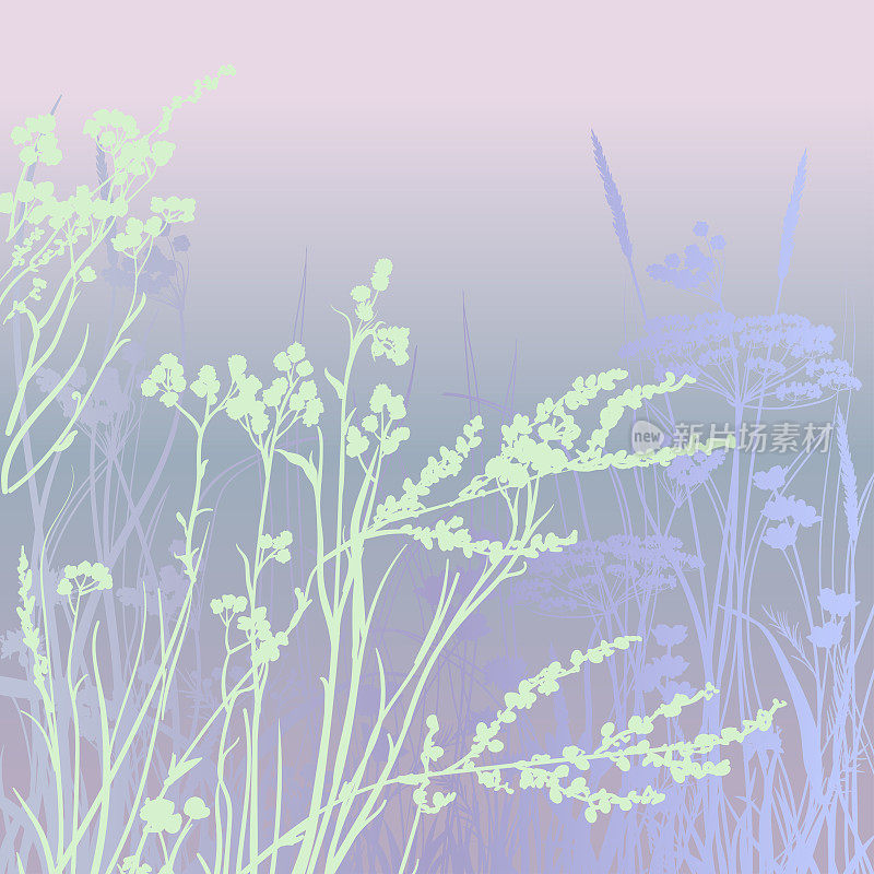 壁纸描绘了野草在黎明时分浪漫情调的田野