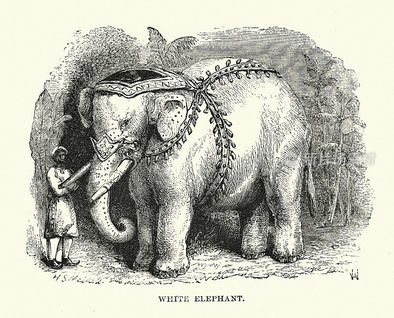 白色亚洲象的复古插图，19世纪60年代维多利亚时代