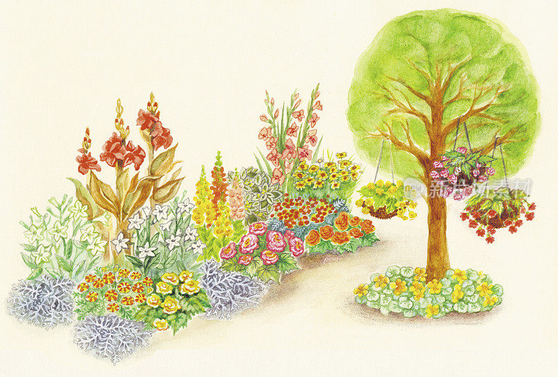 花坛和装饰性花盆的园林设计