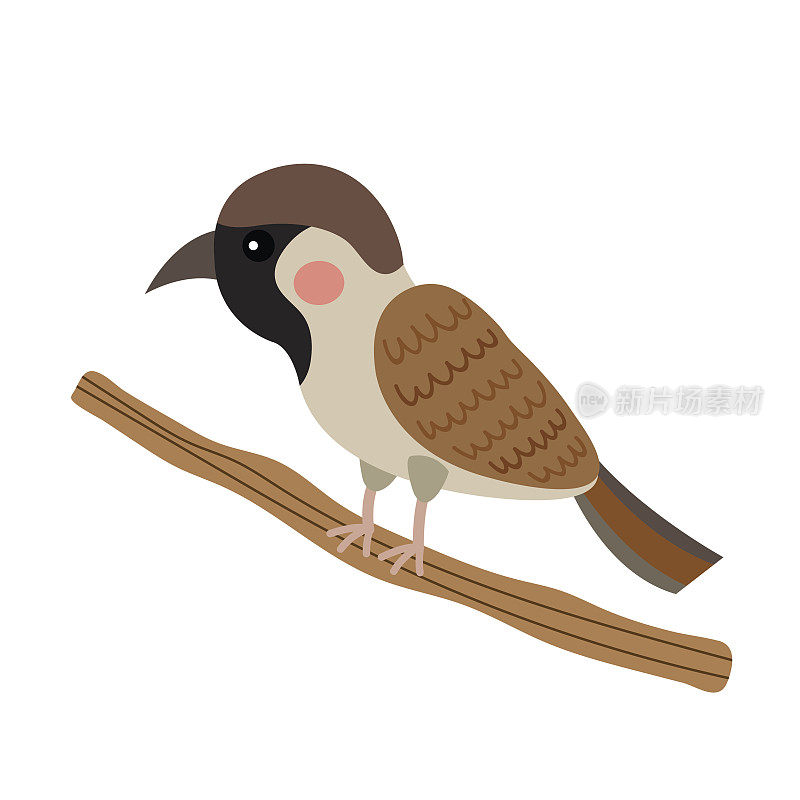 麻雀鸟动物卡通人物矢量插图。