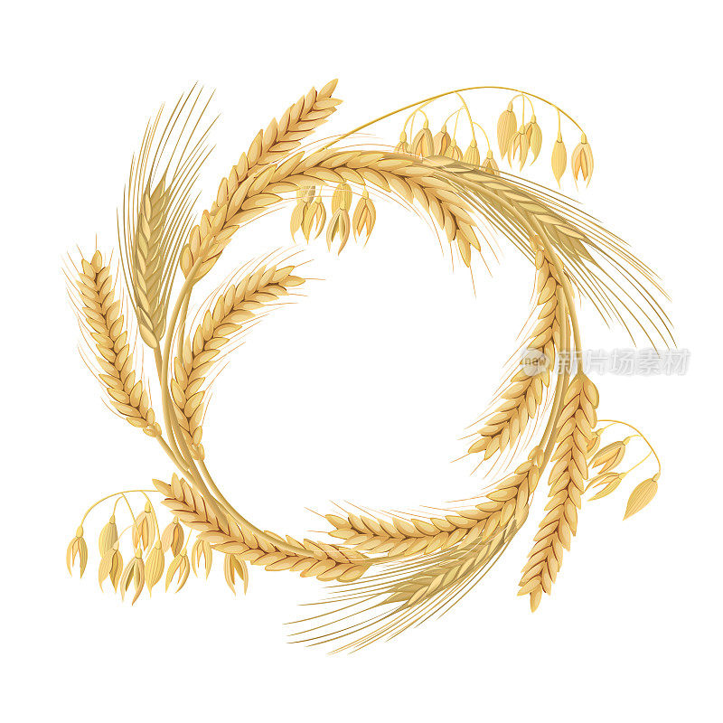 由小麦、大麦、燕麦和黑麦穗制成的花环。五谷四穗，自由空间