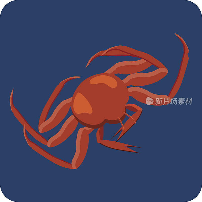 红帝王蟹的图标。蒸蟹插图。