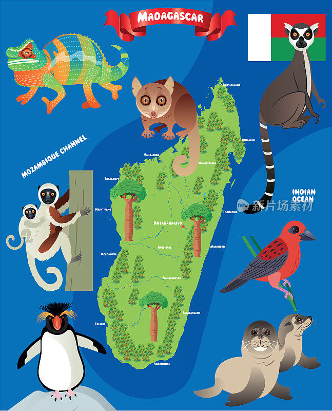 马达加斯加动物地图，马达加斯加动物，马达加斯加佛迪，亚南极海狗，海狗，企鹅，环尾狐猴，安塔那那利佛，托阿马西纳，安西亚拉贝，菲亚纳兰索，马哈江加，托利亚拉，安塔那那利佛，安塔那那利佛，安波旁，安波旁，安帕拉