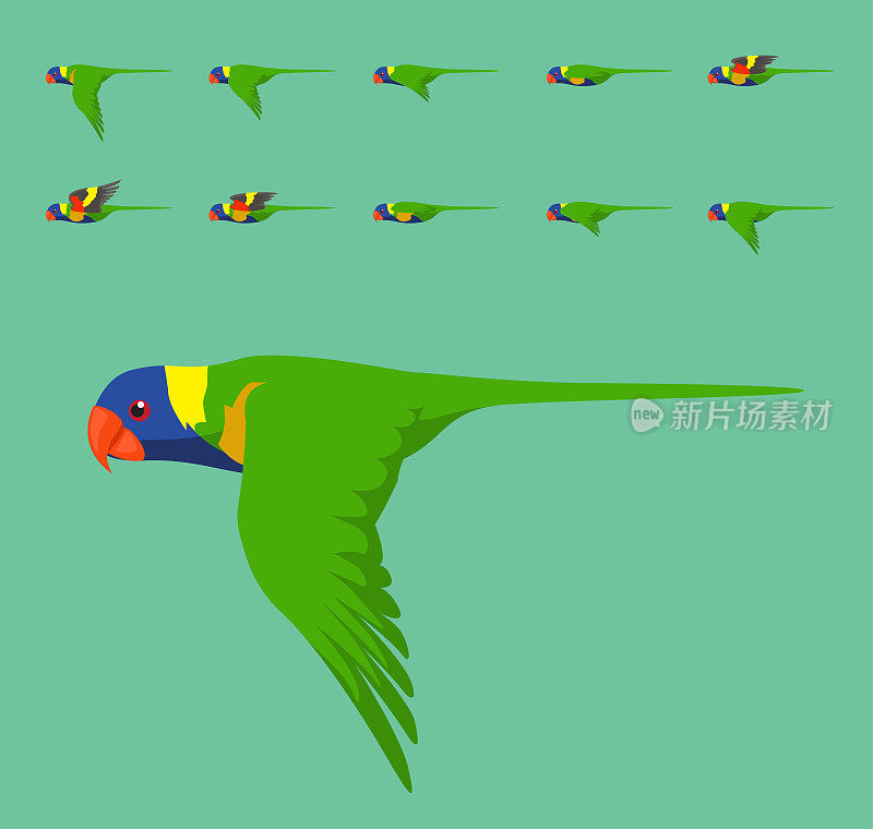动画彩虹鹦鹉飞行可爱的卡通矢量插图