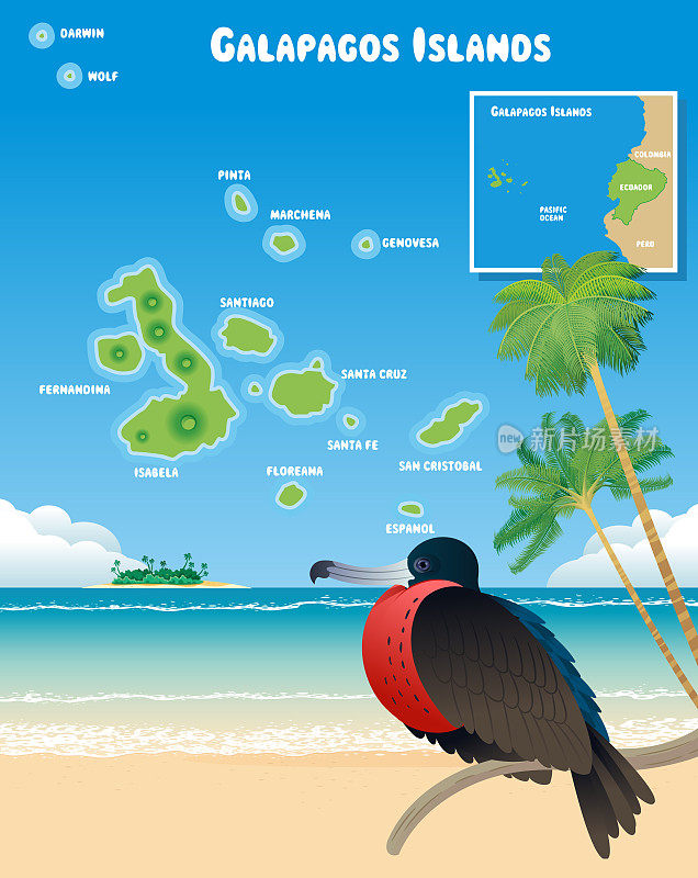 加拉帕戈斯群岛和军舰鸟