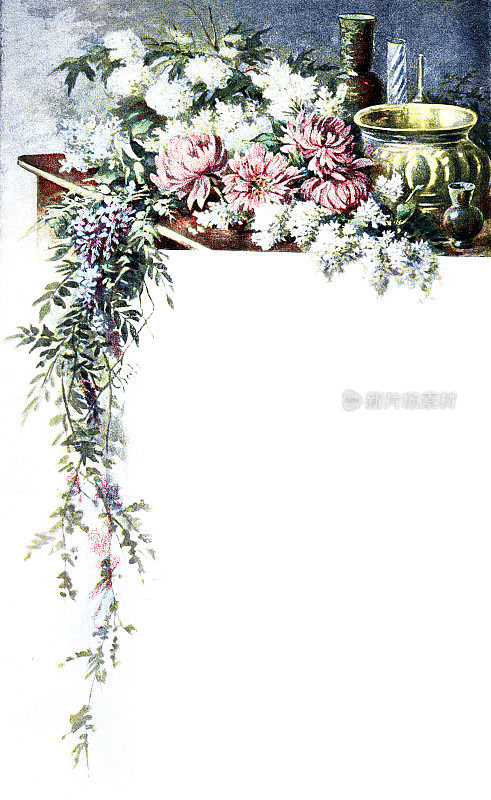 花卉装饰，花饰，白色拷贝空间