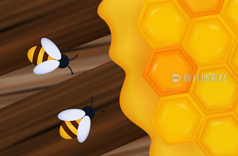 蜂窝在木板上的蜜蜂。矢量三维插图。蜂房里的昆虫，一群蜜蜂特写，六角形的黄色蜂巢。采集花蜜、农业、环境的理念。