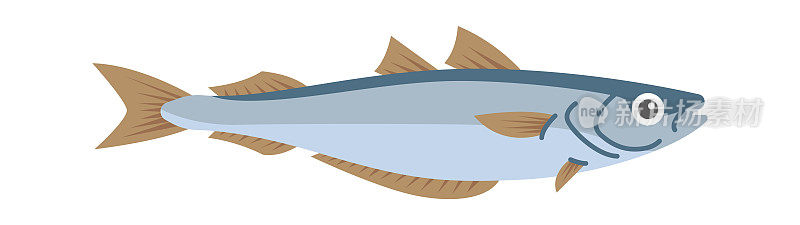 鳕鱼海鱼。矢量图