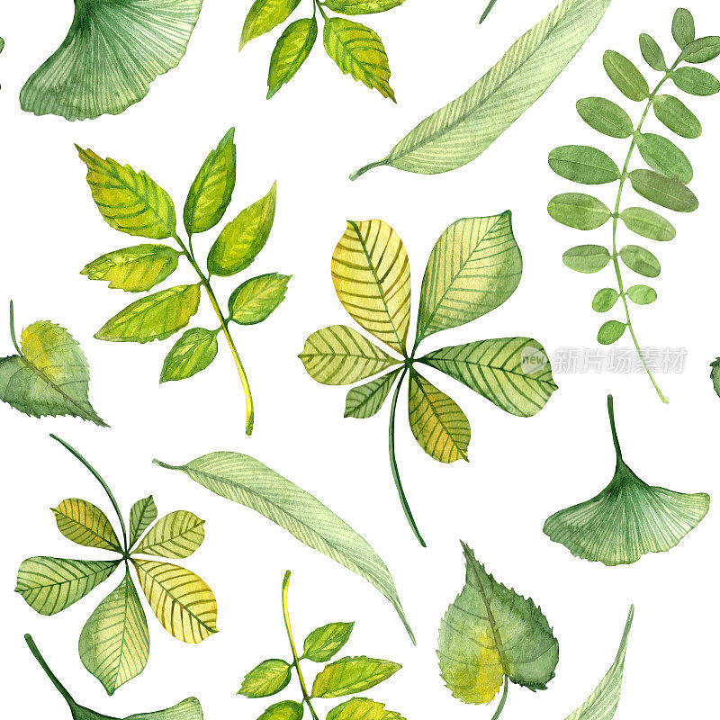 水彩无缝手绘图案与绿色和红色的叶子不同的树木:白蜡树，柳树，柳条，蜡黄，金合欢，栗子，银杏，椴树