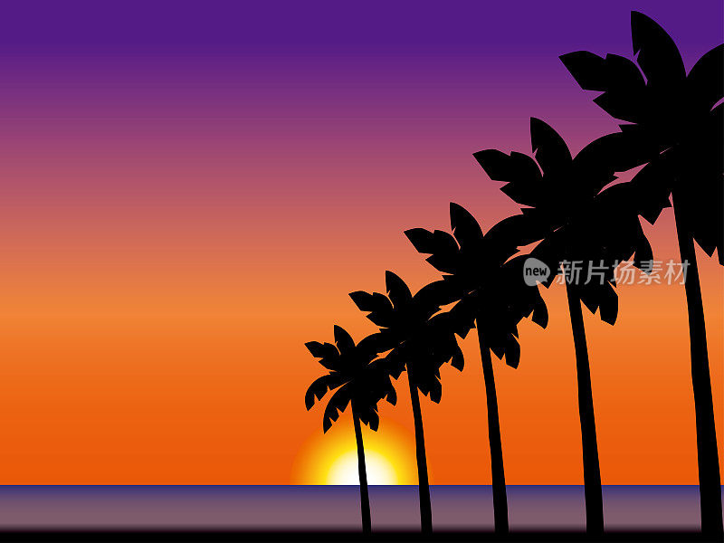 棕榈树黄昏B1-5