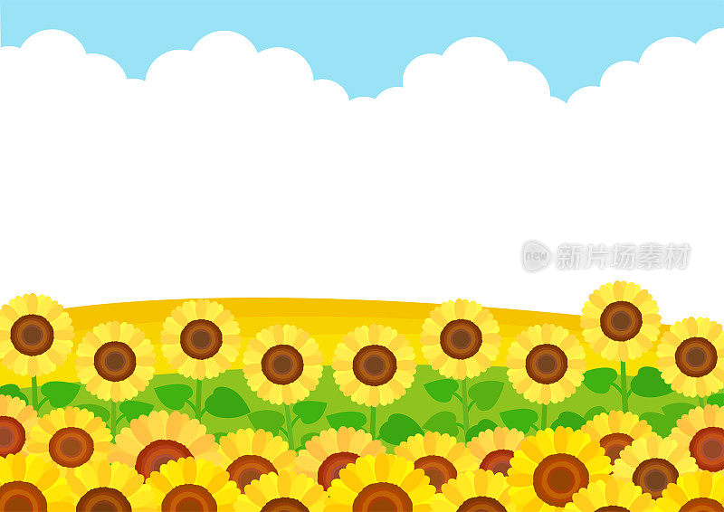 夏季形象，向日葵田景观插图