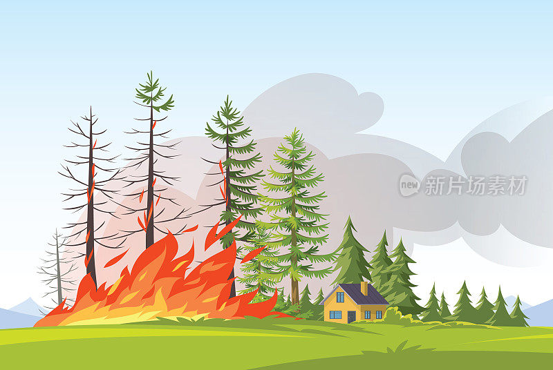 森林大火。燃烧的云杉和橡树，火焰中的木质植物，自然灾害的卡通插画。