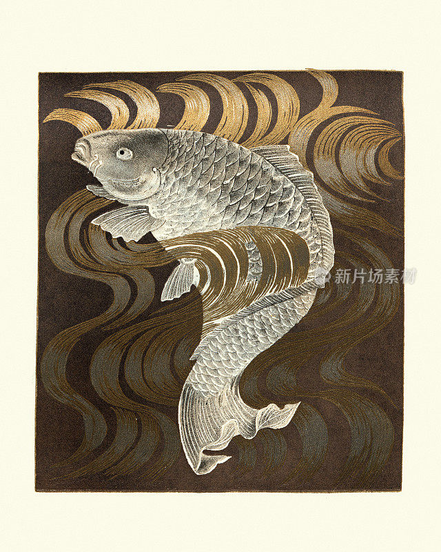 鲤鱼逆流而上，日本艺术版画，福草