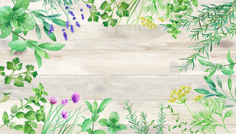 边框装饰以各种香草为背景，以木纹为背景。水彩插图。