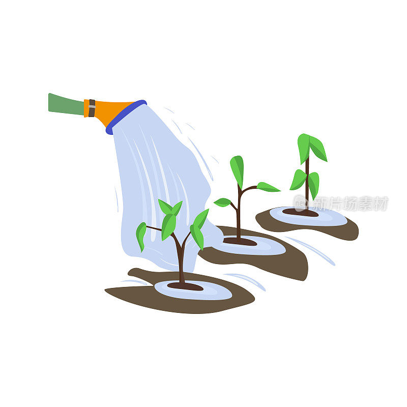 在菜园或蔬菜园里浇水。软管，水和喷雾。在农业中开展实地工作的概念。灌溉或改良土壤。矢量插图。平的风格。