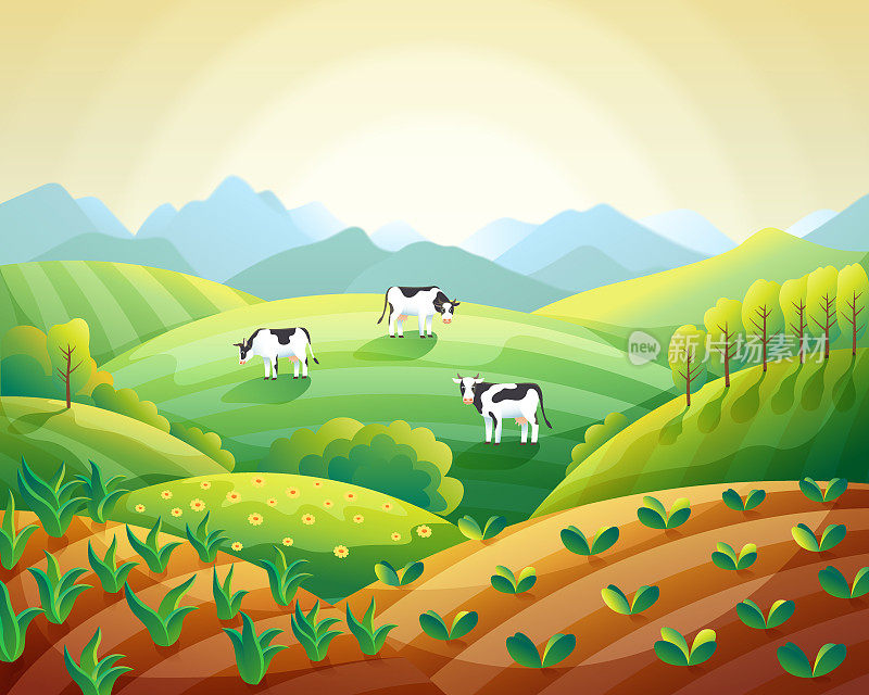 多彩的农场夏季景观，日出晴朗的天空与奶牛在田野和田野与新兴的庄稼向量