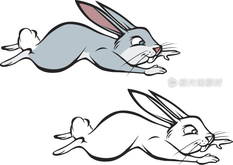 兔跳涂色书