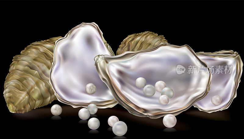 牡蛎壳里的珍珠