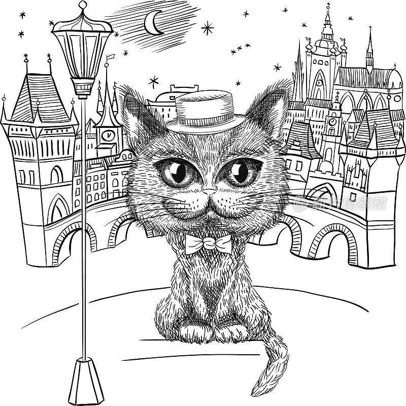 布拉格的猫，布拉格城堡和查尔斯桥