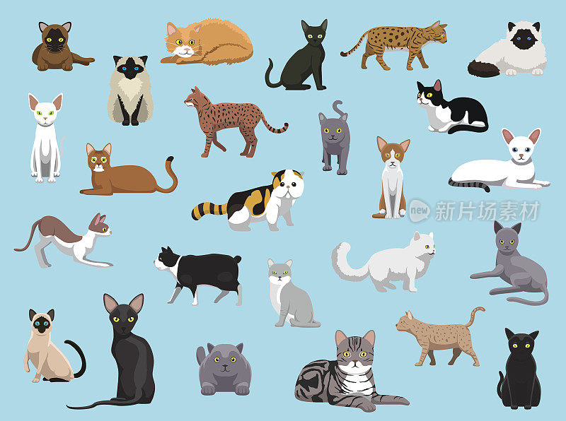 25猫品种卡通矢量插图