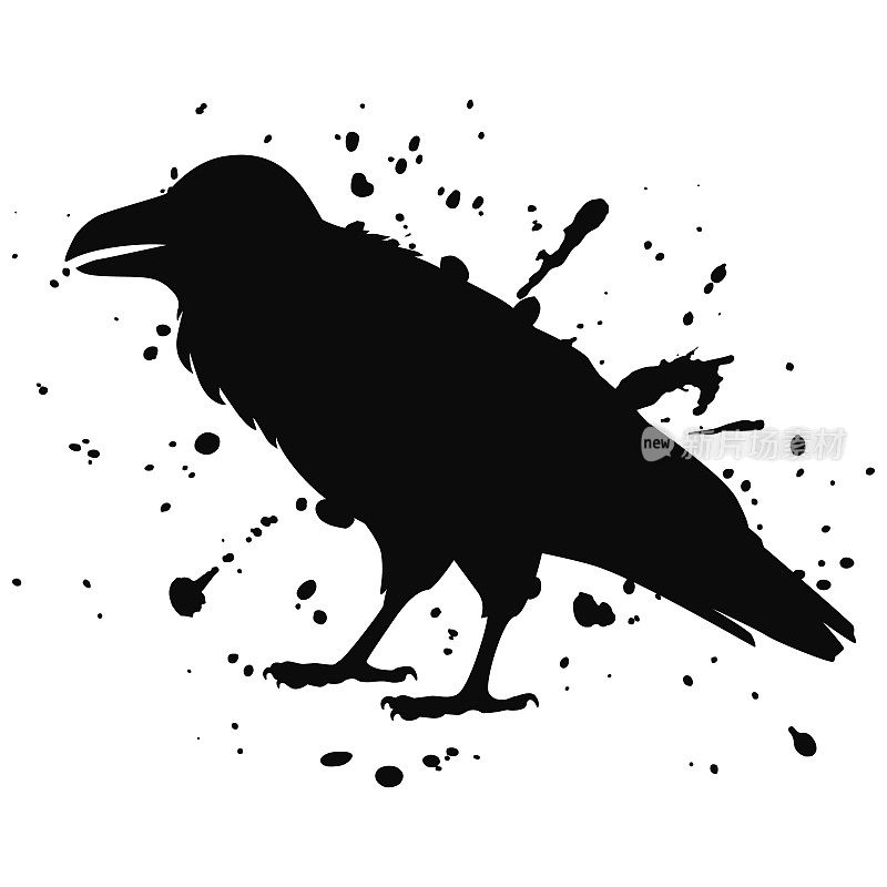 矢量孤立剪影的乌鸦，坐乌鸦。插图一只鸟，黑白相间，用墨水矢量孤立的剪影，一只乌鸦坐着，用墨水泼洒