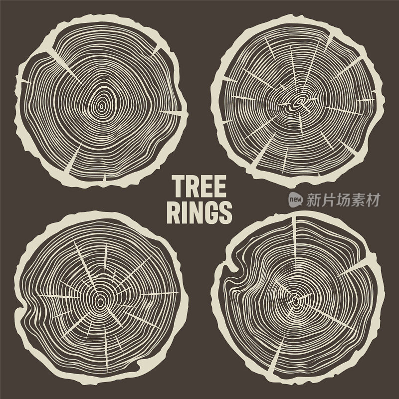 带裂缝的圆树干，锯松或橡木片，木材。锯子砍木头，木头。棕色木质纹理，带有树的年轮。手绘草图。矢量图