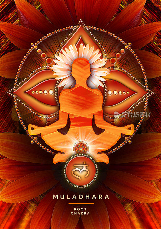 冥想瑜伽中莲花式的根脉轮，前面是圆轮的象征和盛开的栀子花。