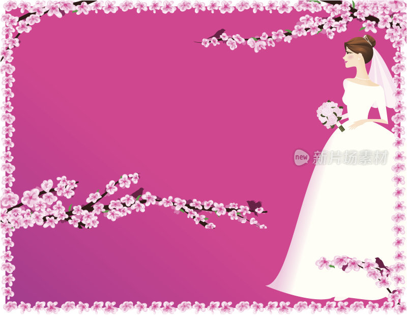 樱花背景的新娘