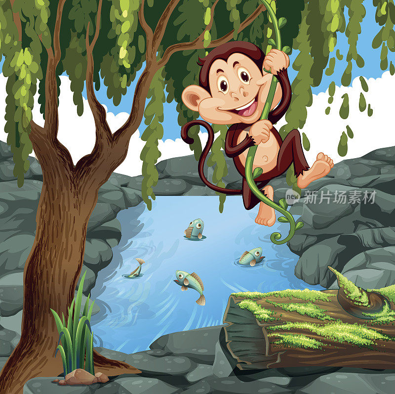 猴子在森林里爬藤