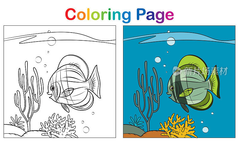 涂色书,海洋鱼