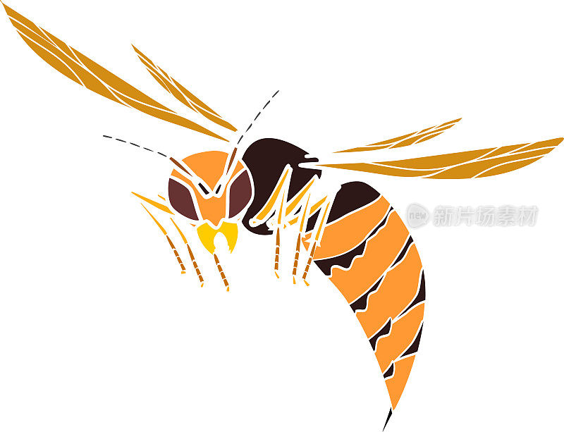 黄色的轮廓飞行的欧洲大黄蜂(黄蜂)孤立的白色背景
